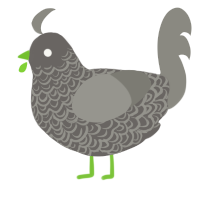 A grey and ash chicken with a double-lace pattern
