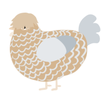 white chocolate, a beige and mist chicken with a lace pattern