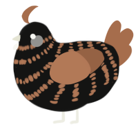 A black and brown chicken with a bar pattern