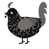 A black and grey chicken with a speckle pattern