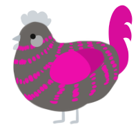 A grey and fuchsia chicken with a bar pattern