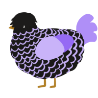 A sable and lilac chicken with a lace pattern