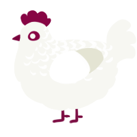 A white chicken with a half-lace pattern
