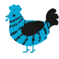 Muffin, a cerulean and sable chicken with a bar pattern