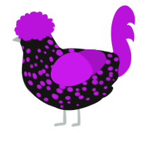 A black and amethyst chicken with a speckle pattern