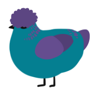 A sea and overcast chicken with a neck-band pattern