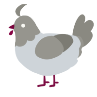 A mist and ash chicken with a head pattern