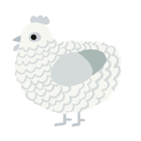 A white and silver chicken with a lace pattern