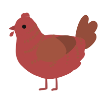 A red and russet chicken with a half-bar pattern
