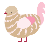 A beige and rose chicken with a bar pattern