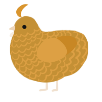 Buttercrunch, a gold and orange chicken with a lace pattern