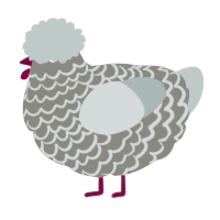 A ash and silver chicken with a lace pattern