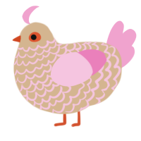 A beige and pink chicken with a lace pattern
