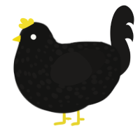 Common Blackbird, a black and sable chicken with a speckle pattern