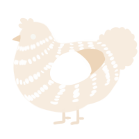 A cream chicken with a bar pattern
