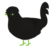 IYDKMIGTHTKY, a sable chicken with a lace pattern