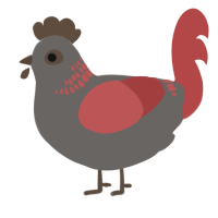 A grey and red chicken with a neck-band pattern