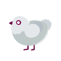 A silver and mist chicken with a head pattern