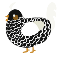 A black and white chicken with a lace pattern