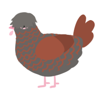 (unnamed), a grey and russet chicken with a lace pattern