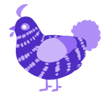 A indigo and lilac chicken with a bar pattern