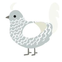 A silver and white chicken with a lace pattern