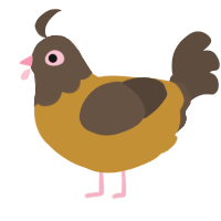 Beebee, a gold and bark chicken with a head pattern