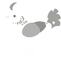 Snow, a white and ash chicken with a neck-speckle pattern