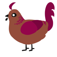A russet and maroon chicken with a neck-band pattern