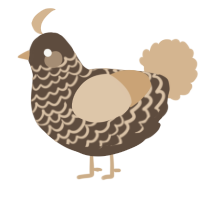 A bark and beige chicken with a lace pattern