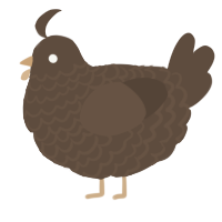 A bark chicken with a lace pattern