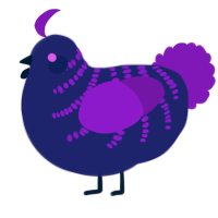 A navy and violet chicken with a half-bar pattern
