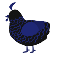 A black and navy chicken with a lace pattern