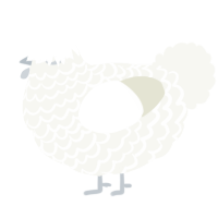 A white chicken with a lace pattern