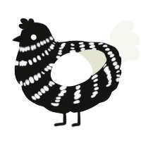 Black and White, a black and white chicken with a bar pattern