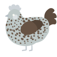 A silver and bark chicken with a speckle pattern