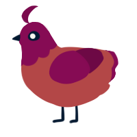 A red and wine chicken with a head pattern