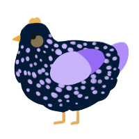A tumblr and lilac chicken with a speckle pattern