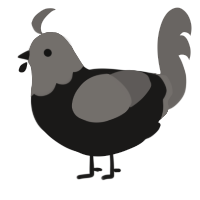 (unnamed), a sable and grey chicken with a head pattern