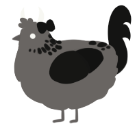 Pewter, a grey and black chicken with a neck-speckle pattern