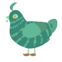 Duncan, a teal and turquoise chicken with a bar pattern