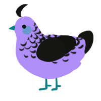 A lilac and black chicken with a half-lace pattern