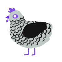 Mary, a silver and black chicken with a lace pattern