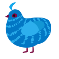Brook, a sapphire and sky chicken with a bar pattern