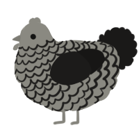 A ash and sable chicken with a lace pattern