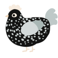 Fleck, a black and silver chicken with a speckle pattern