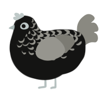 Oliver, a black and ash chicken with a half-lace pattern