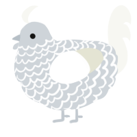 A mist and white chicken with a lace pattern
