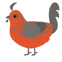 A vermilion and grey chicken with a half-lace pattern