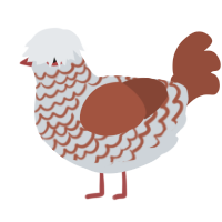A mist and russet chicken with a lace pattern